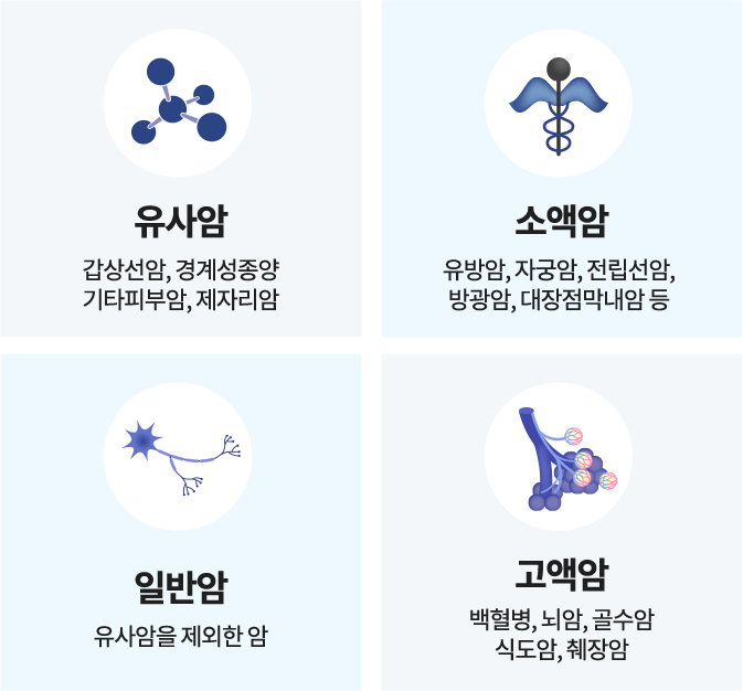 보험 유형별 설명